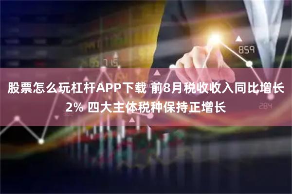 股票怎么玩杠杆APP下载 前8月税收收入同比增长2% 四大主体税种保持正增长