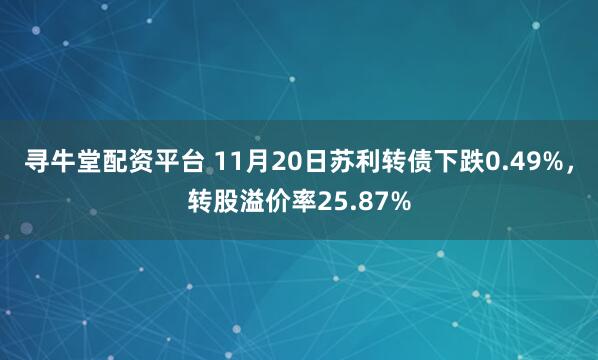 寻牛堂配资平台 11月20日苏利转债下跌0.49%,转股溢价率25.87%