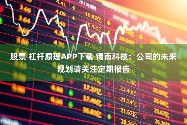 股票 杠杆原理APP下载 锡南科技：公司的未来规划请关注定期报告
