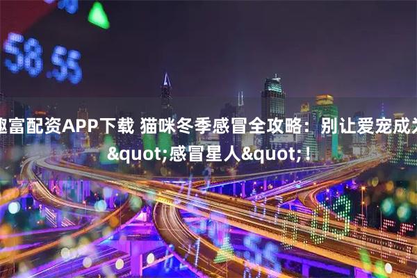 趣富配资APP下载 猫咪冬季感冒全攻略：别让爱宠成为"感冒星人"！