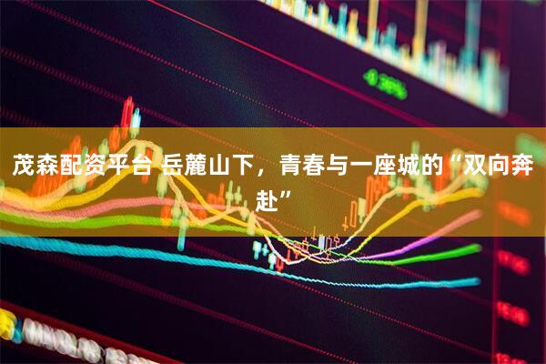 茂森配资平台 岳麓山下，青春与一座城的“双向奔赴”